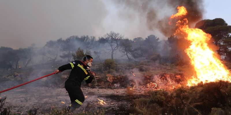 Συναγερμός στην Πυροσβεστική: Πυρκαγιά ξέσπασε στην κάτω Κρυά Λασιθίου