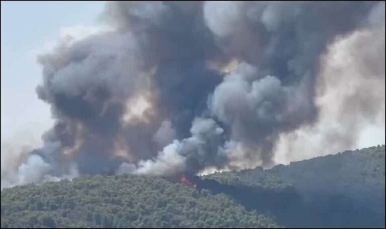 Μεγάλη φωτιά τώρα στη Βουρβουρού Χαλκιδικής