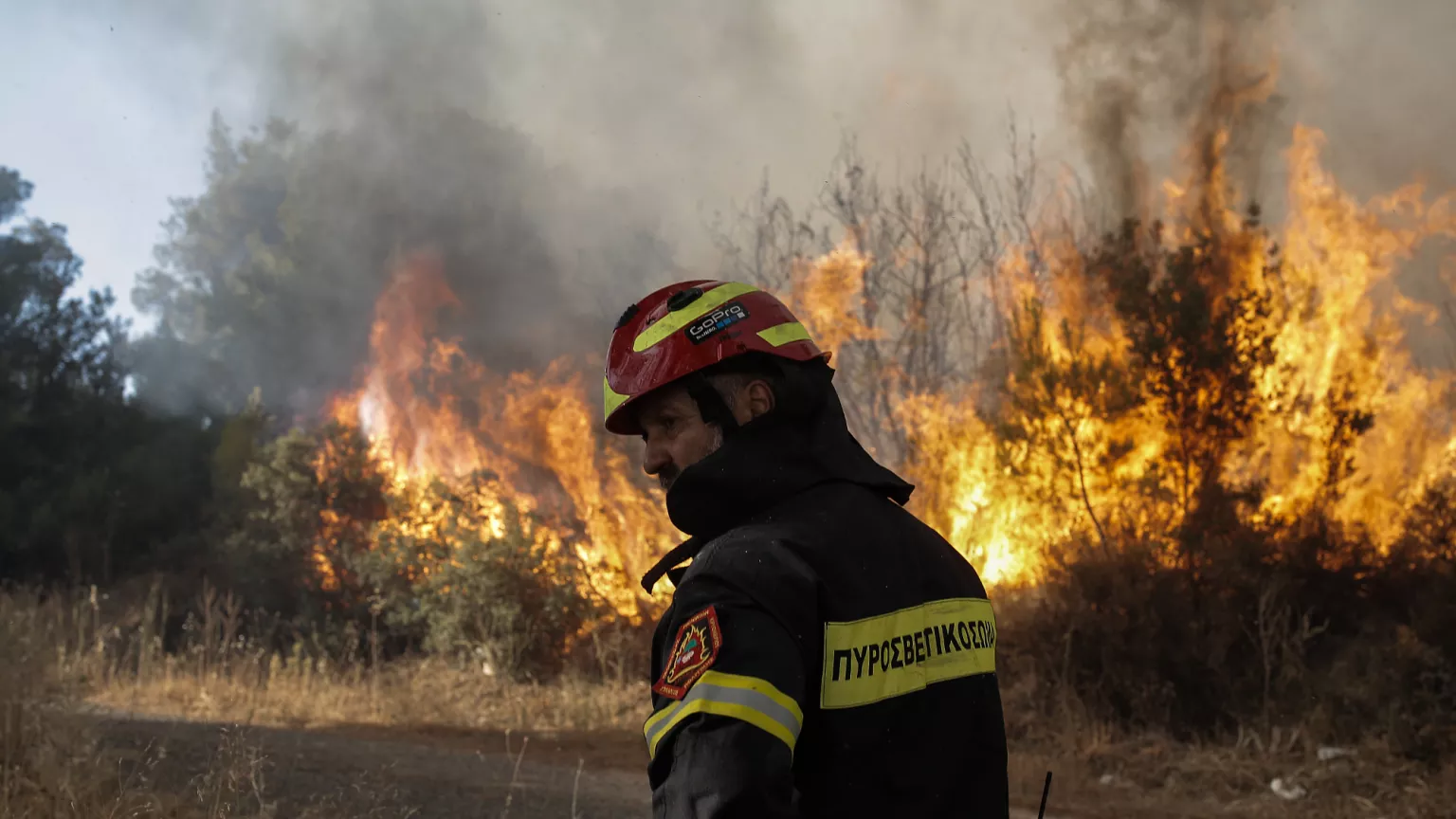 Φωτιά τώρα σε Θεσπρωτία και Ημαθία