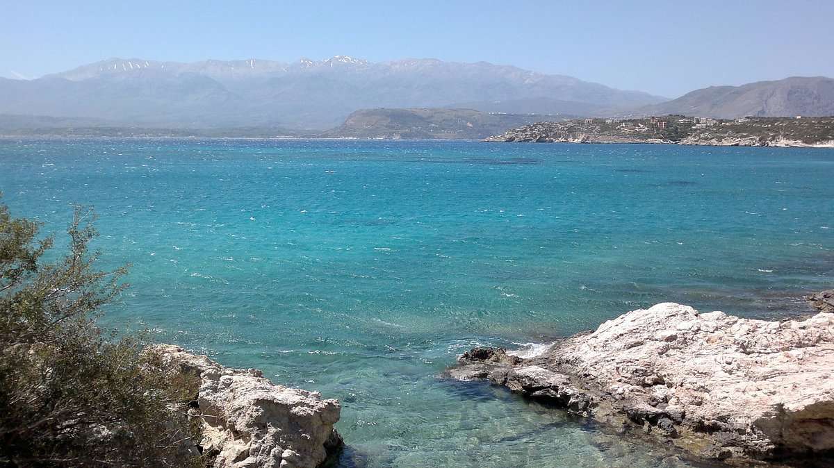Θαλάσσια χελώνα δάγκωσε γυναίκα στην παραλία Μαράθι Χανίων