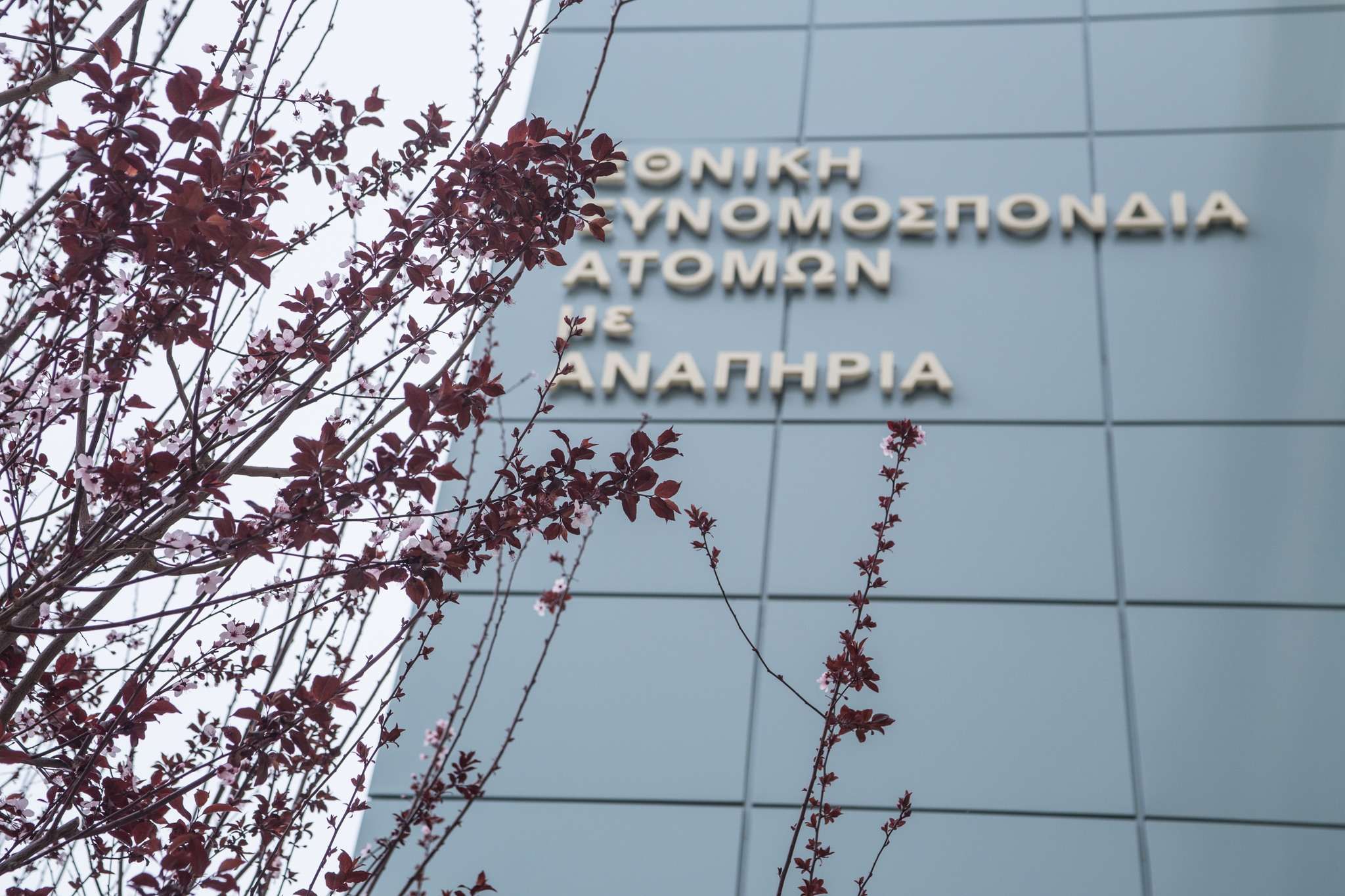 ΕΣΑμεΑ: Χιλιάδες μαθητές με αναπηρία στερούνται την εκπαίδευση