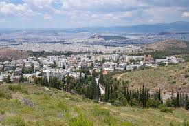 Προσπάθησαν να θανατώσουν σκύλους στον Βύρωνα με βελόνες – Τι καταγγέλλει ιδιοκτήτρια