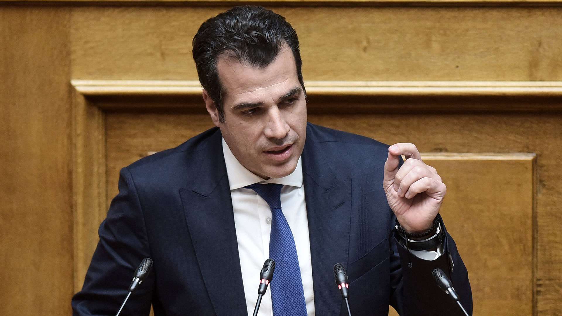 Πλεύρης: «Καταπολέμηση των διακινητών και πιο ασφαλή σύνορα»
