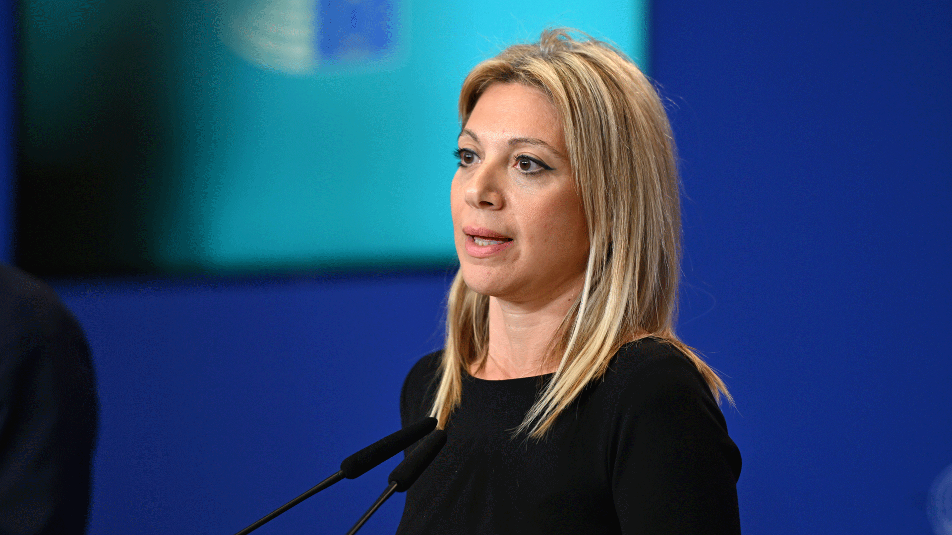 Καρυστιανού: Επίθεση στην κυβέρνηση για τα ελληνοτουρκικά