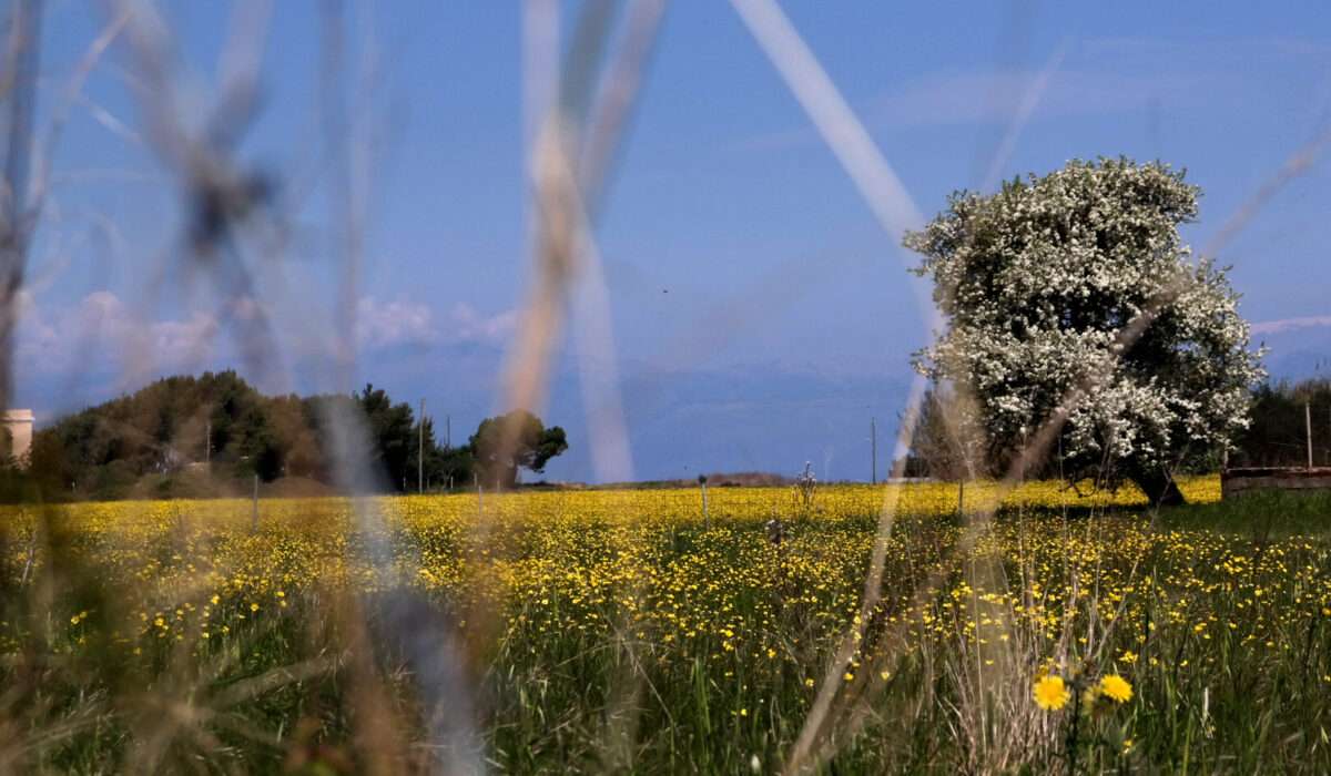 Τι καιρό θα έχει τη Μεγάλη Εβδομάδα;
